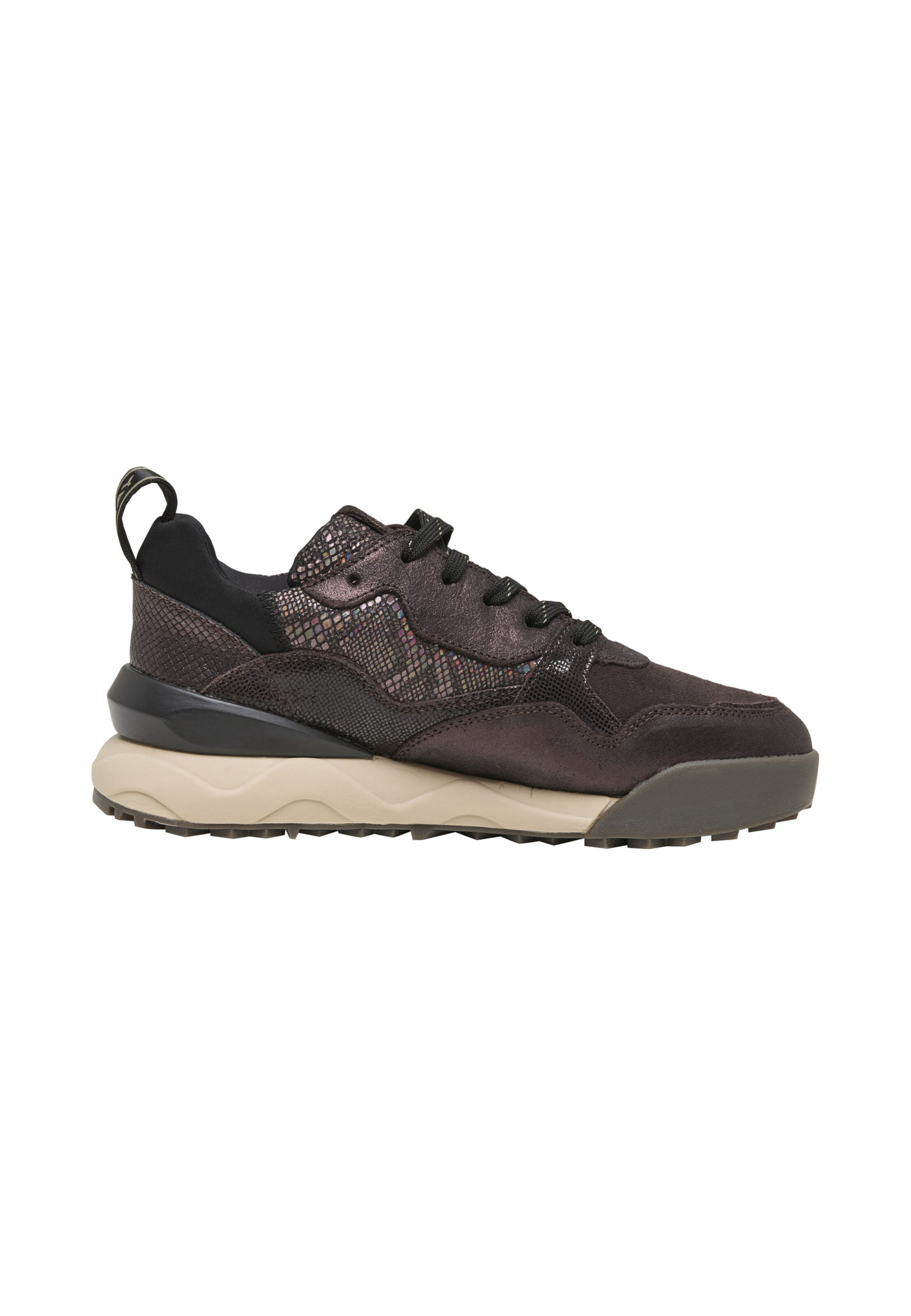 Baskets basses 'Field' REPLAY en marron