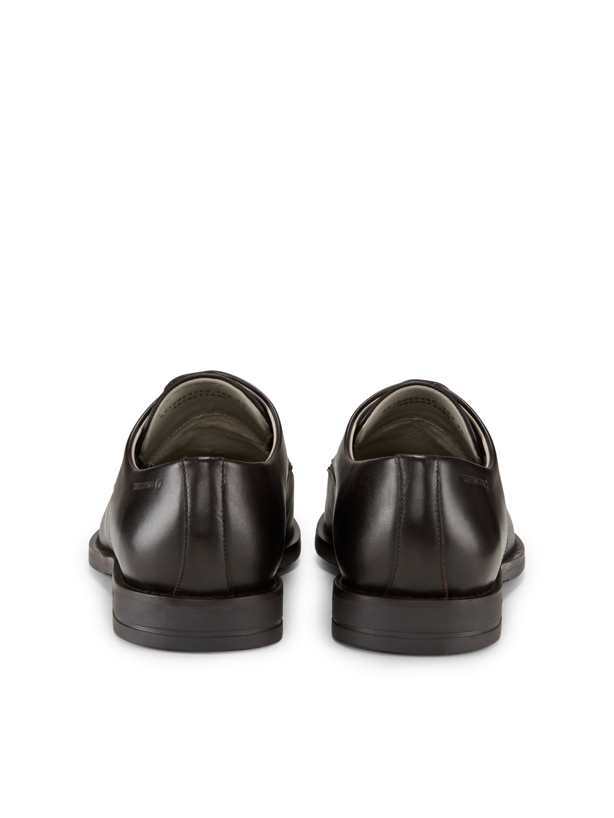 STRELLSON Veterschoen 'Harvey Jones' in Bruin