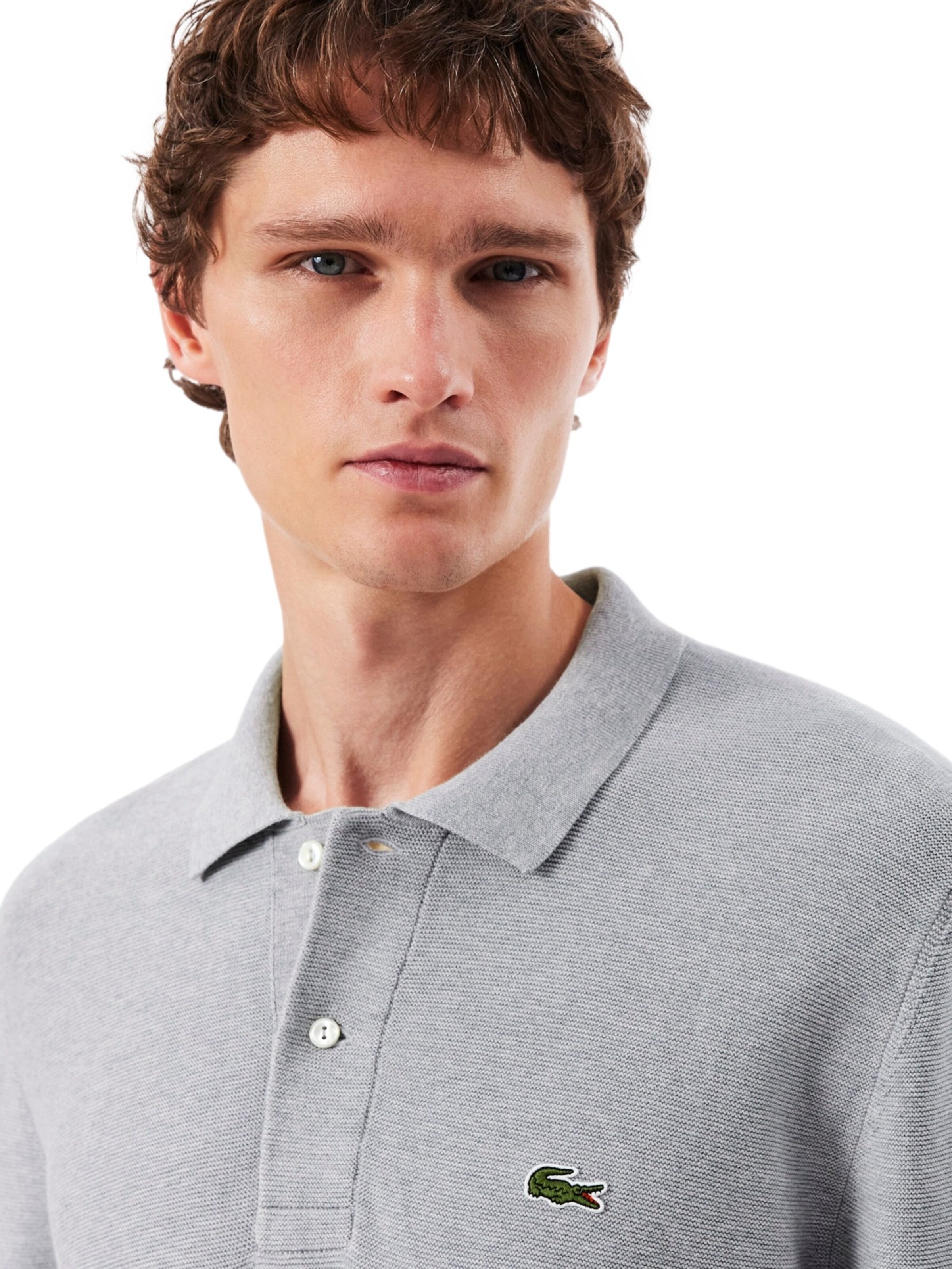 Pullover di LACOSTE in grigio