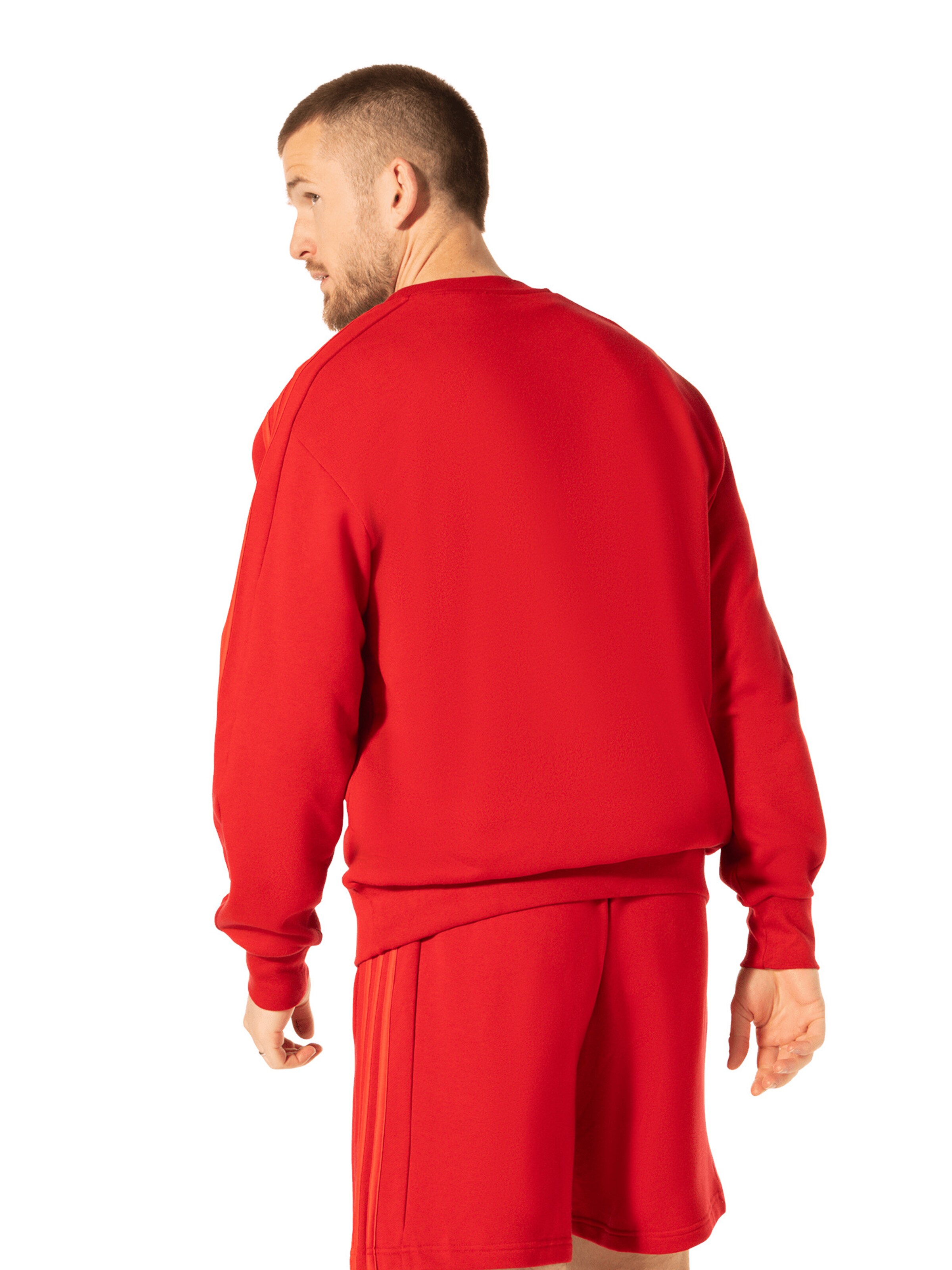 ADIDAS PERFORMANCE Sweatshirt 'DNA' in Red