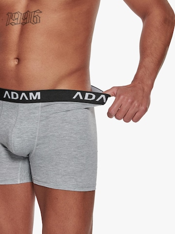 Adam Boxer shorts '6er Pack' in Grey