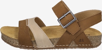 JOSEF SEIBEL Sandale 'Hannah 01' in Braun: Vorderseite