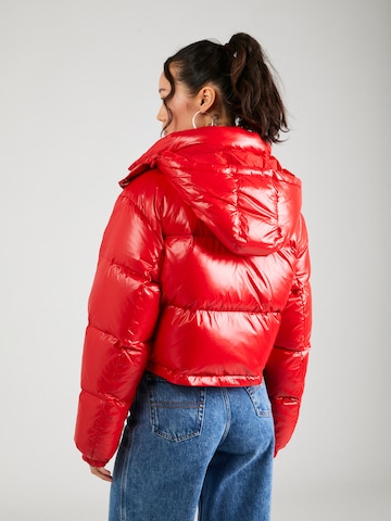 Tommy Jeans Winter Jacket 'Alaska' in Red