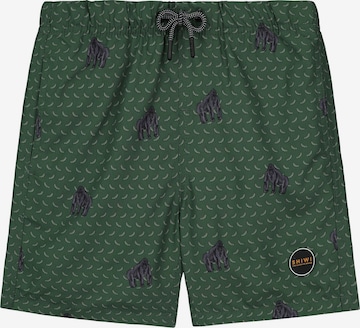 Shorts de bain Shiwi en vert : devant