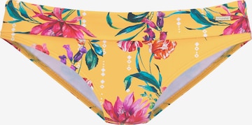 SUNSEEKER Bikinitrusse i gul: forside