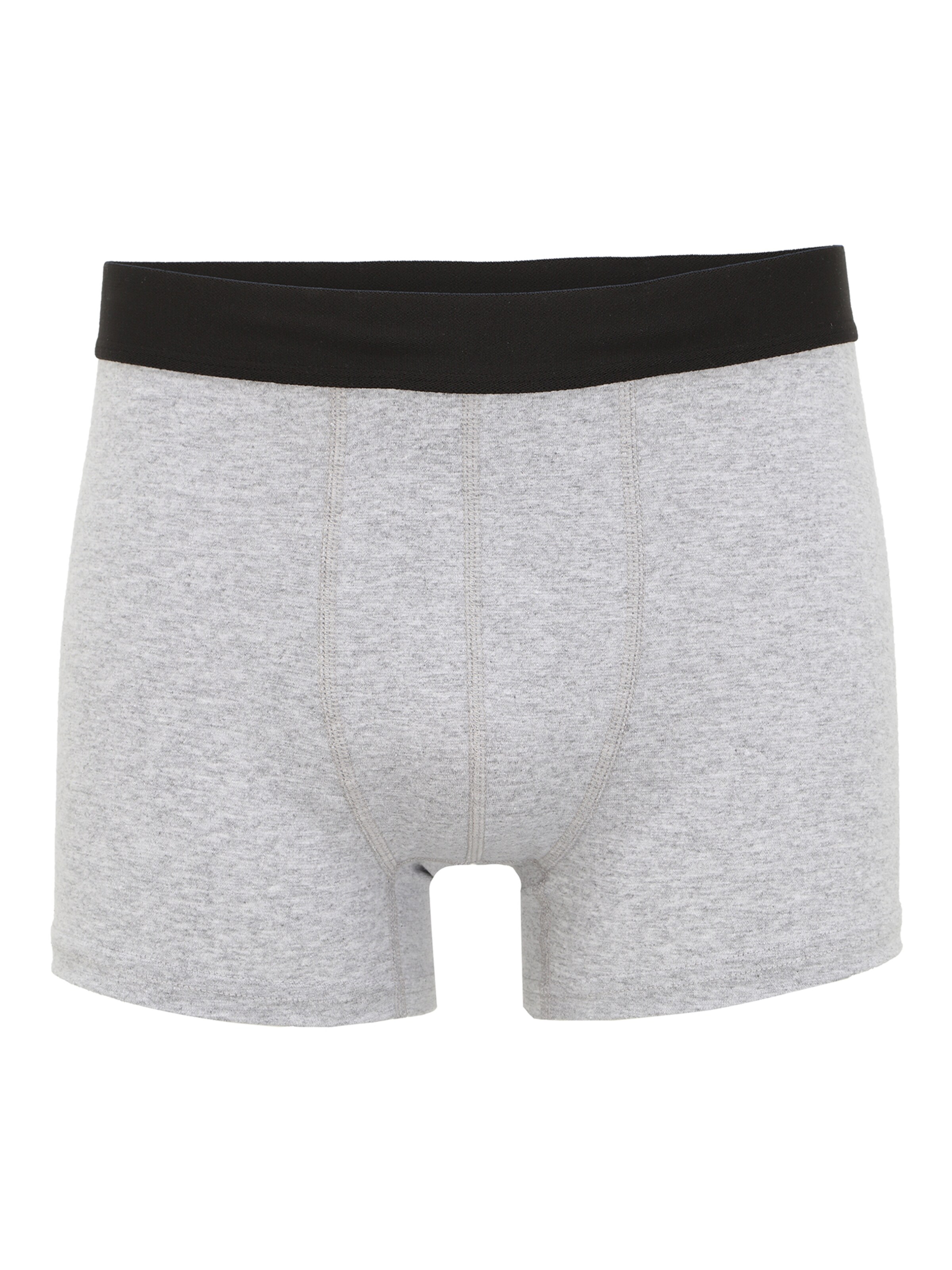 Albert Schäfer Boxer shorts in Grey