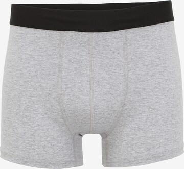 Albert Schäfer Boxershorts in Grau