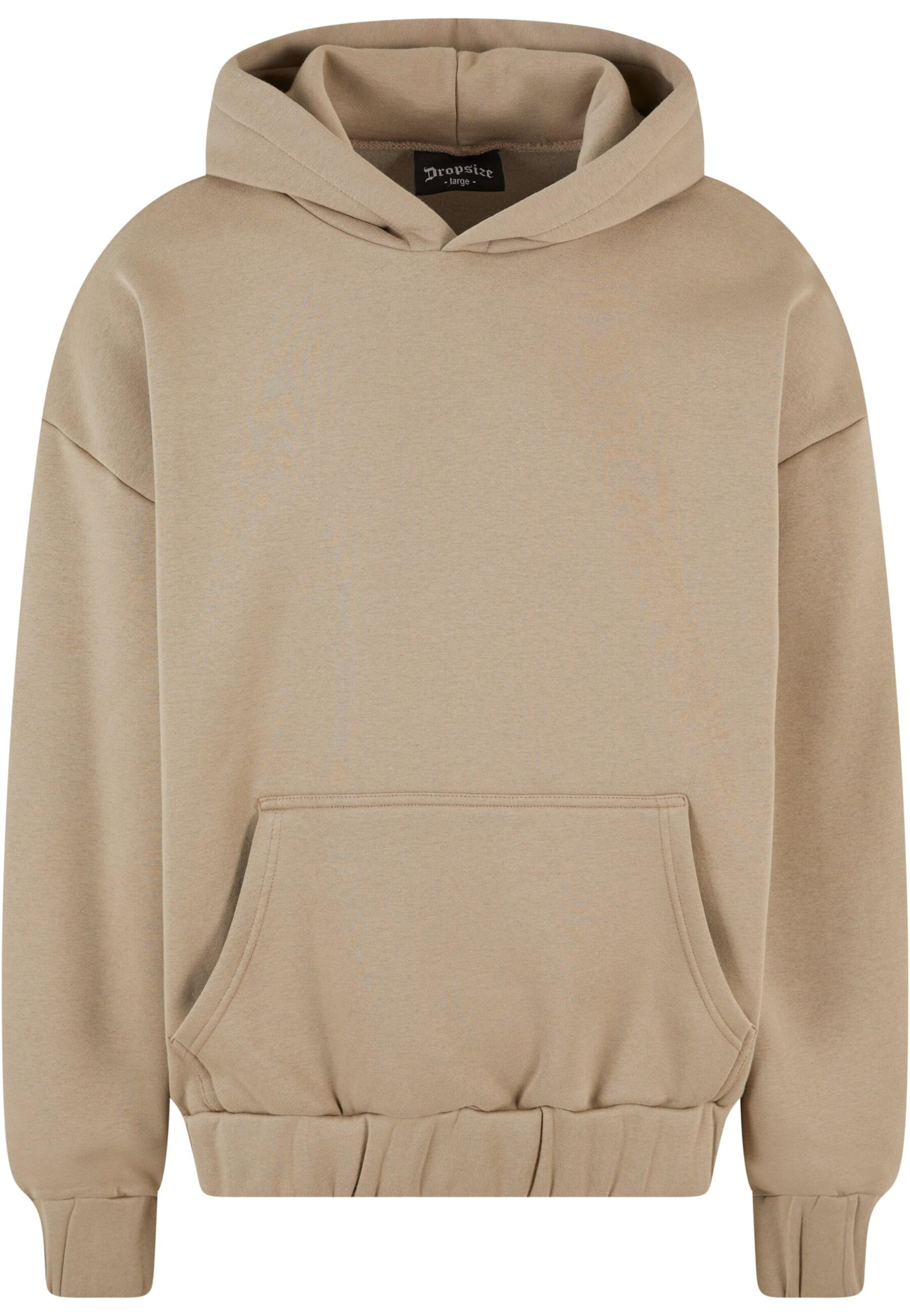 Dropsize Sweatshirt in Beige: front