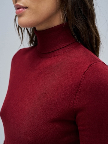 Salsa Jeans Sweater in Red