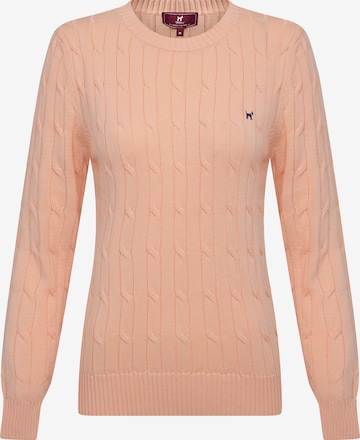 WilliotPulover - bež boja: prednji dio