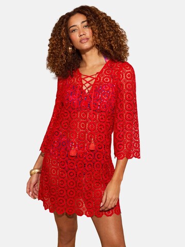 love & roses - Vestido em vermelho: frente