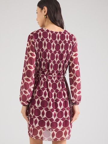 purpurinė ZABAIONE Suknelė 'Sa44raa'