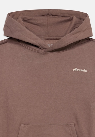 Felpa 'SADDLE UP' di Abercrombie & Fitch in marrone