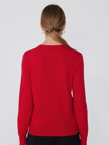 Tezenis Pullover in Rot