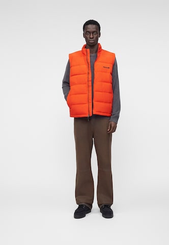 TIMBERLAND Жилетка 'AXIS PEAK' в Оранжевый