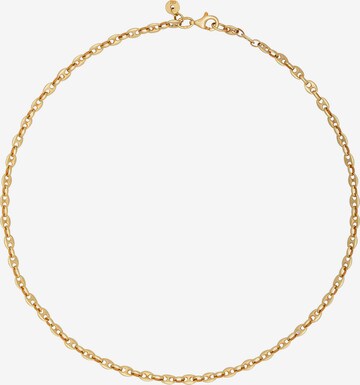 caï Necklace in Gold