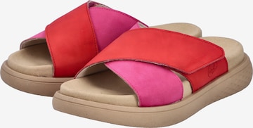 Rieker Pantolette in Rot: Vorderseite