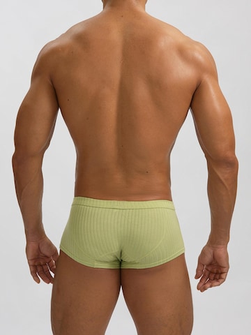 BIMONI Boxer shorts in Green