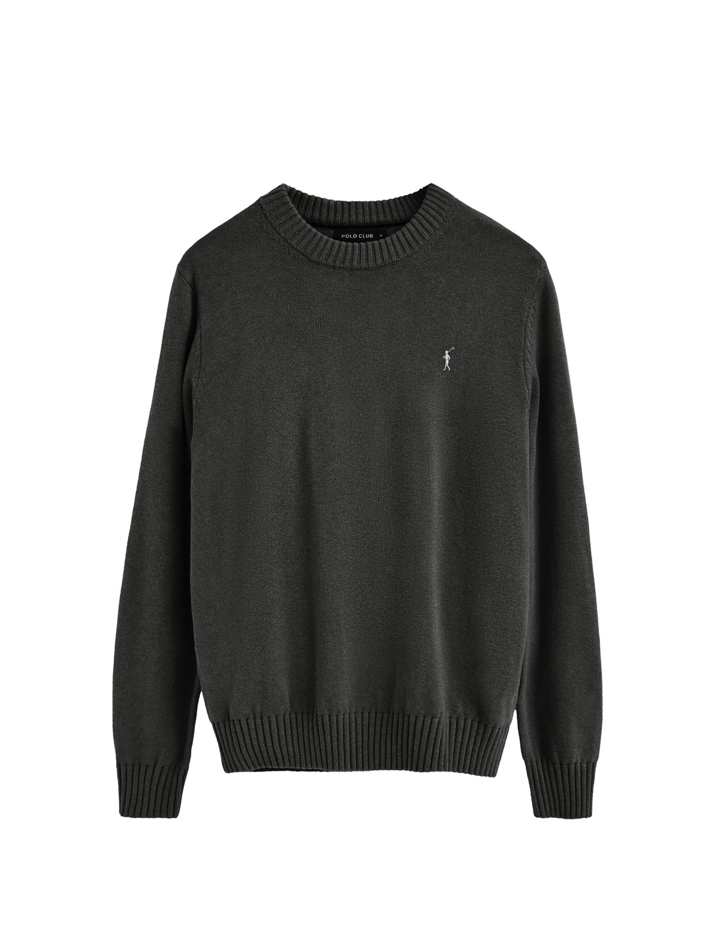 Polo Club Pullover in Grau: Vorderseite