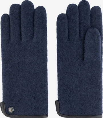 Roeckl Vingerhandschoenen in Blauw: voorkant