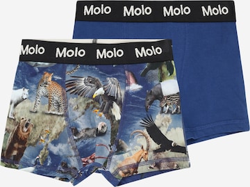 Molo Underpants 'Justin' in Blue: front