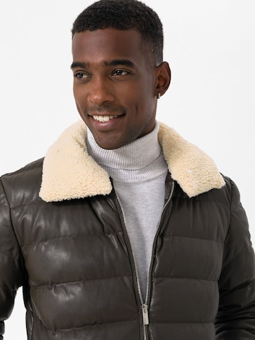 Daniel Hills JACKET in Grün