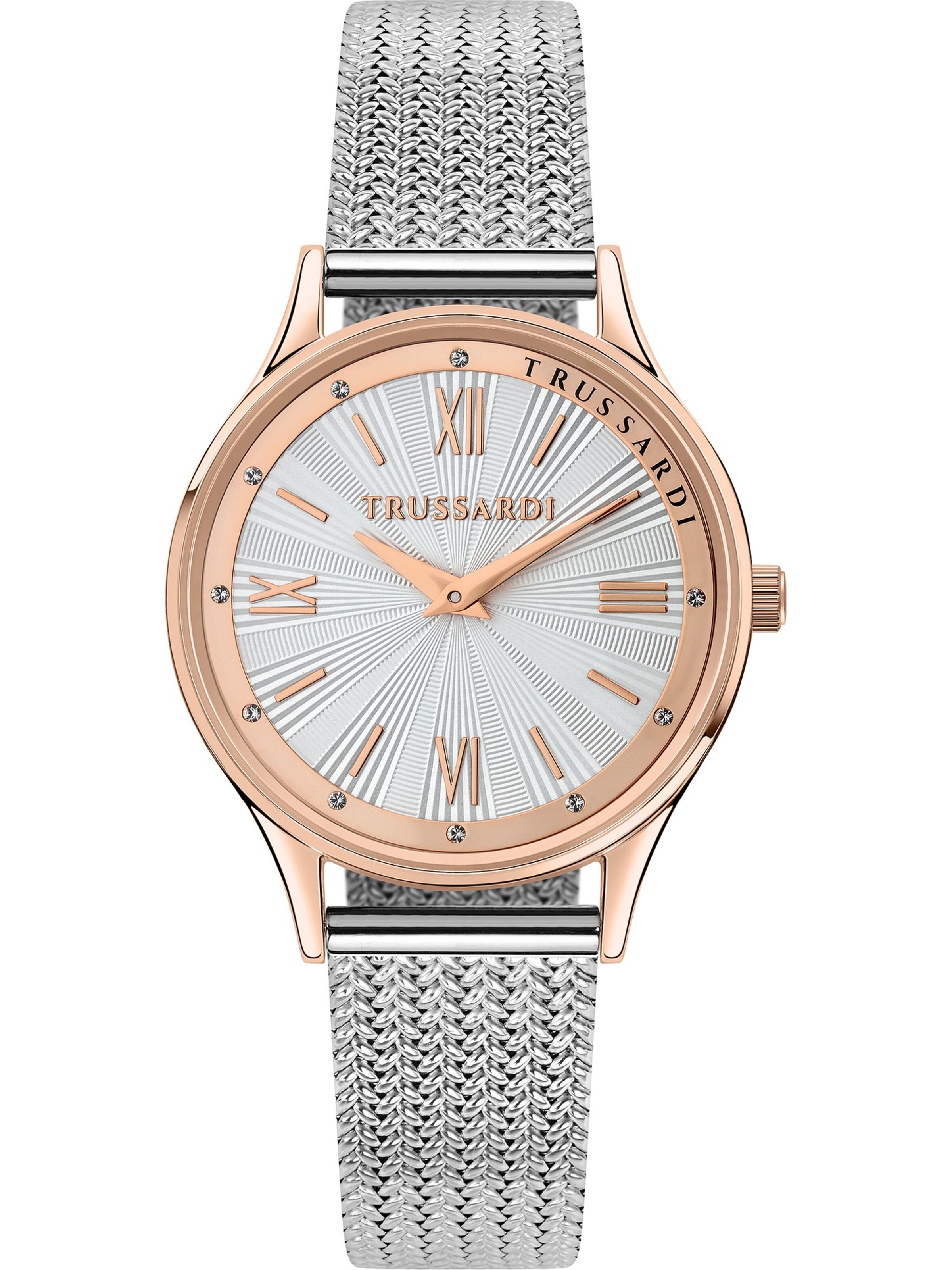Trussardi Analog Watch in Silver: front