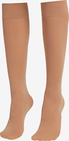 CALZEDONIA Kniestrümpfe in Beige: predná strana