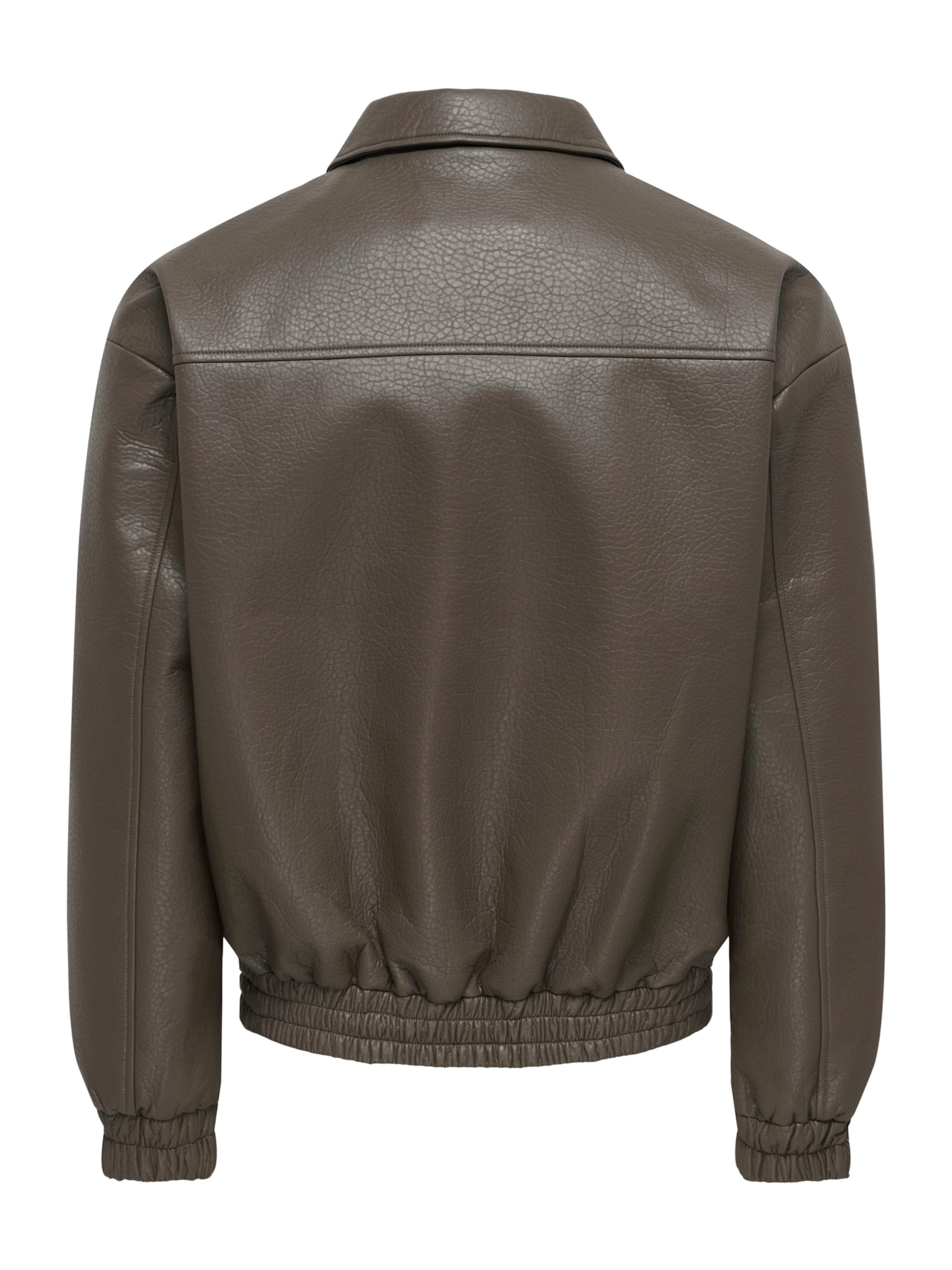 Only & Sons Prehodna jakna 'ONSREX' | rjava barva