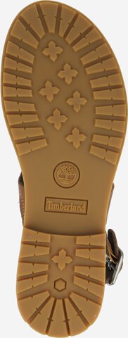 TIMBERLAND T-Bar Sandals 'Chicago Riverside' in Brown