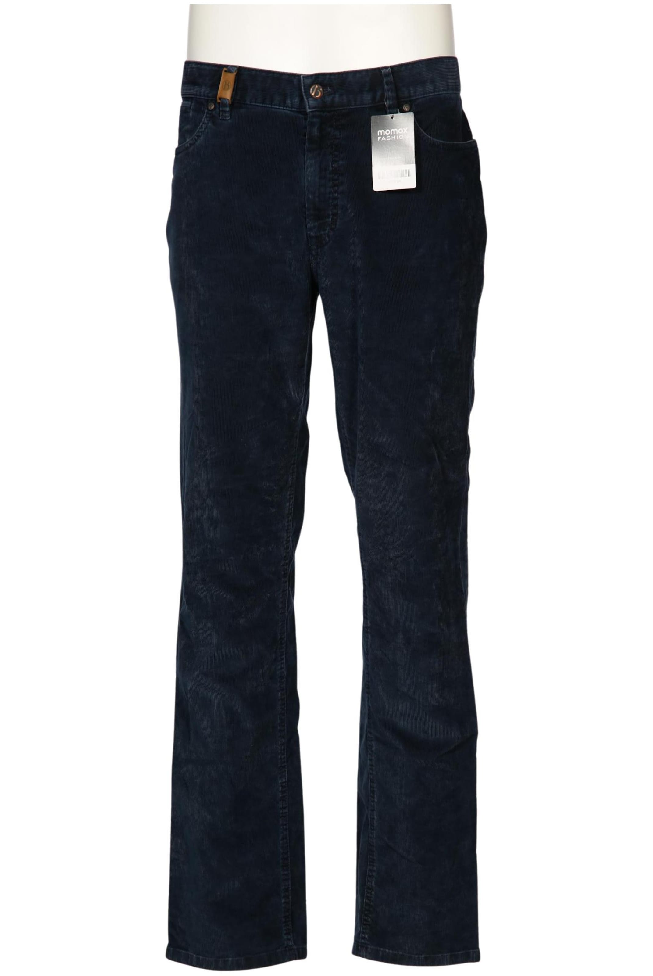 Hiltl Pants in 36 in Blue: front