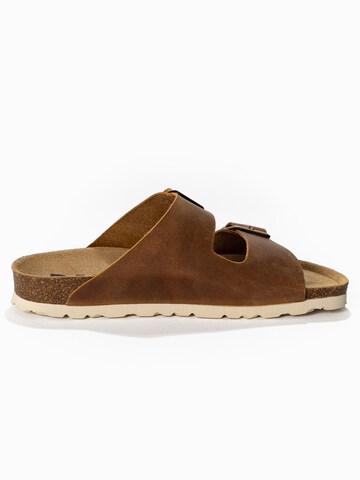 Mule 'Atlas' Bayton en marron
