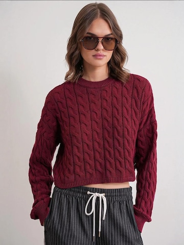 Pull-over MixRay en rouge : devant