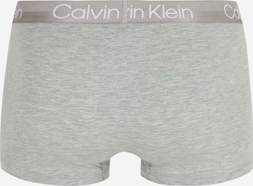 Calvin Klein Underwear Regular Boxershorts in Grau