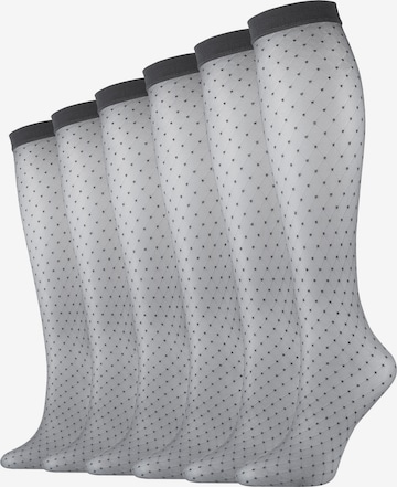 camano Fine Stockings in Grey: front
