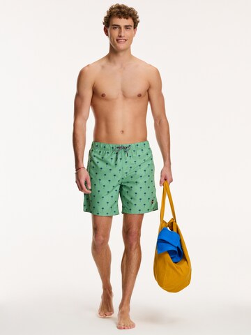 Shorts de bain 'PALM' Shiwi en vert