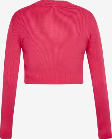 faina Sweater in Pink