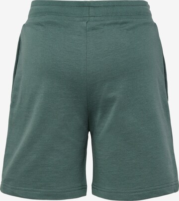 Hummel Regular Shorts 'BASSIM' in Grün