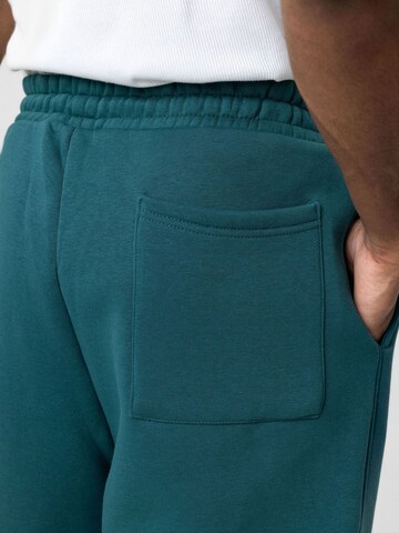 Dandalo Jogginganzug 'Janssen' in Grün