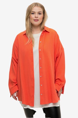 Studio Untold Bluse in Orange: predná strana