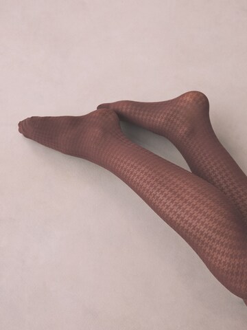 Collants Next en marron