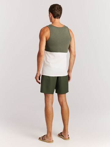 PROTEST Shirt 'PRTIspa' in Green