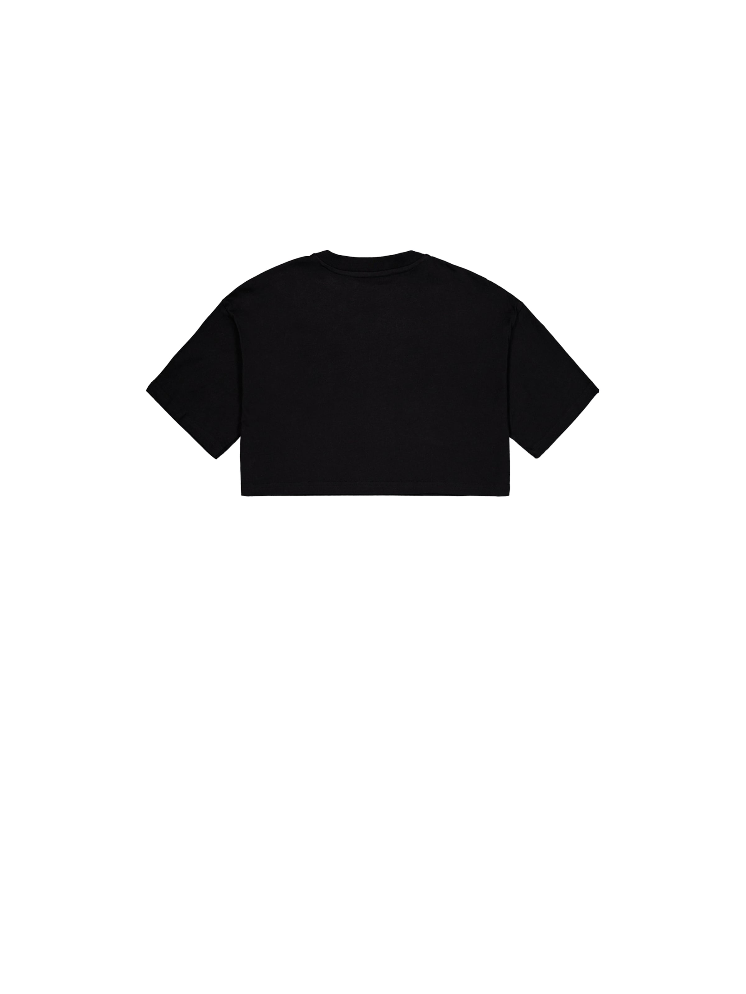 ALPHA INDUSTRIES Shirt in Black