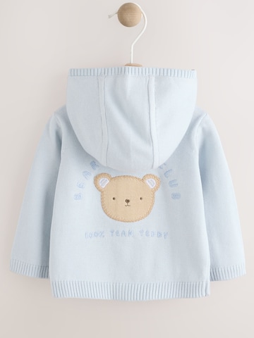 Next Gebreid vest in Blauw