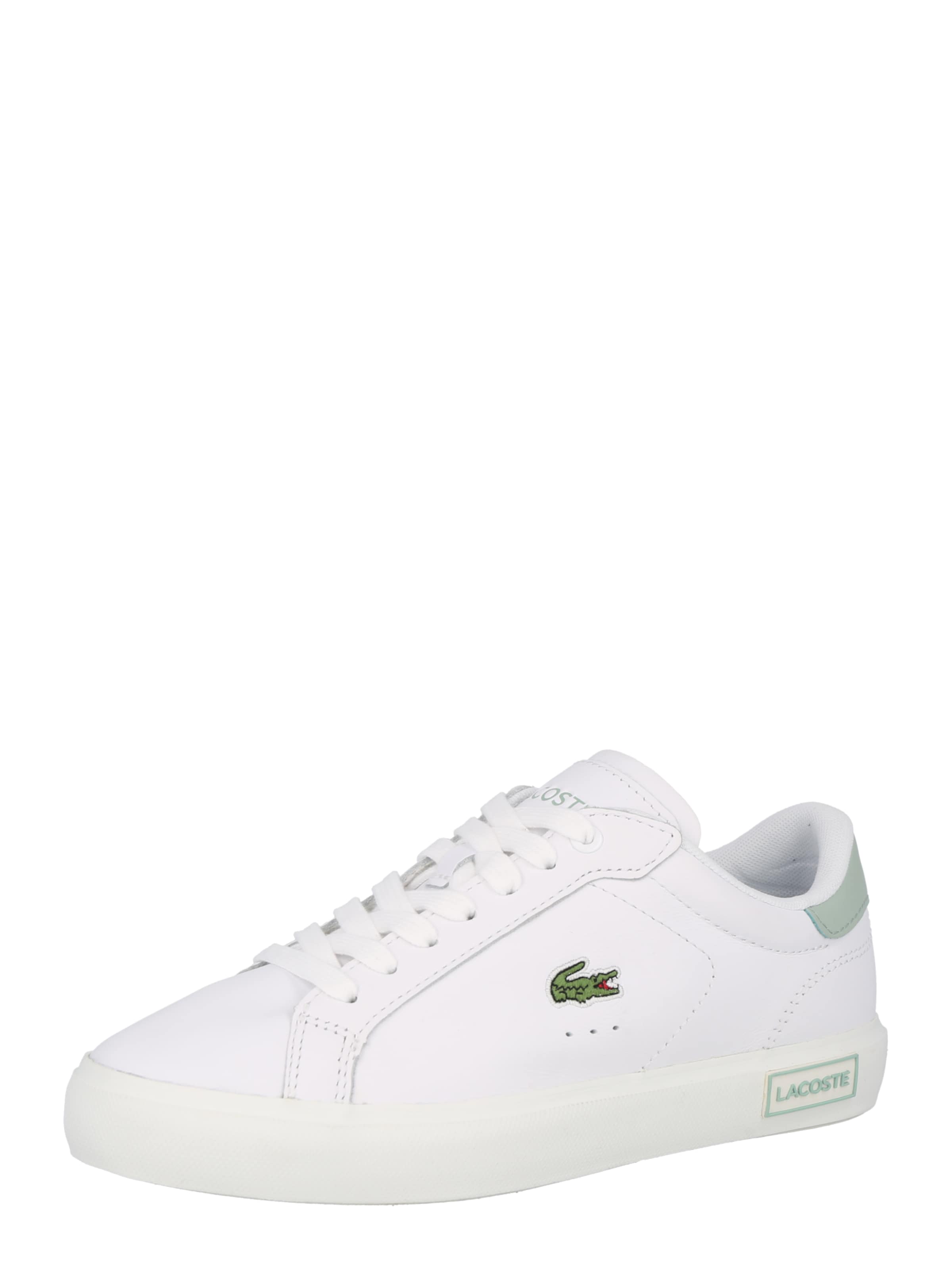 lacoste puma