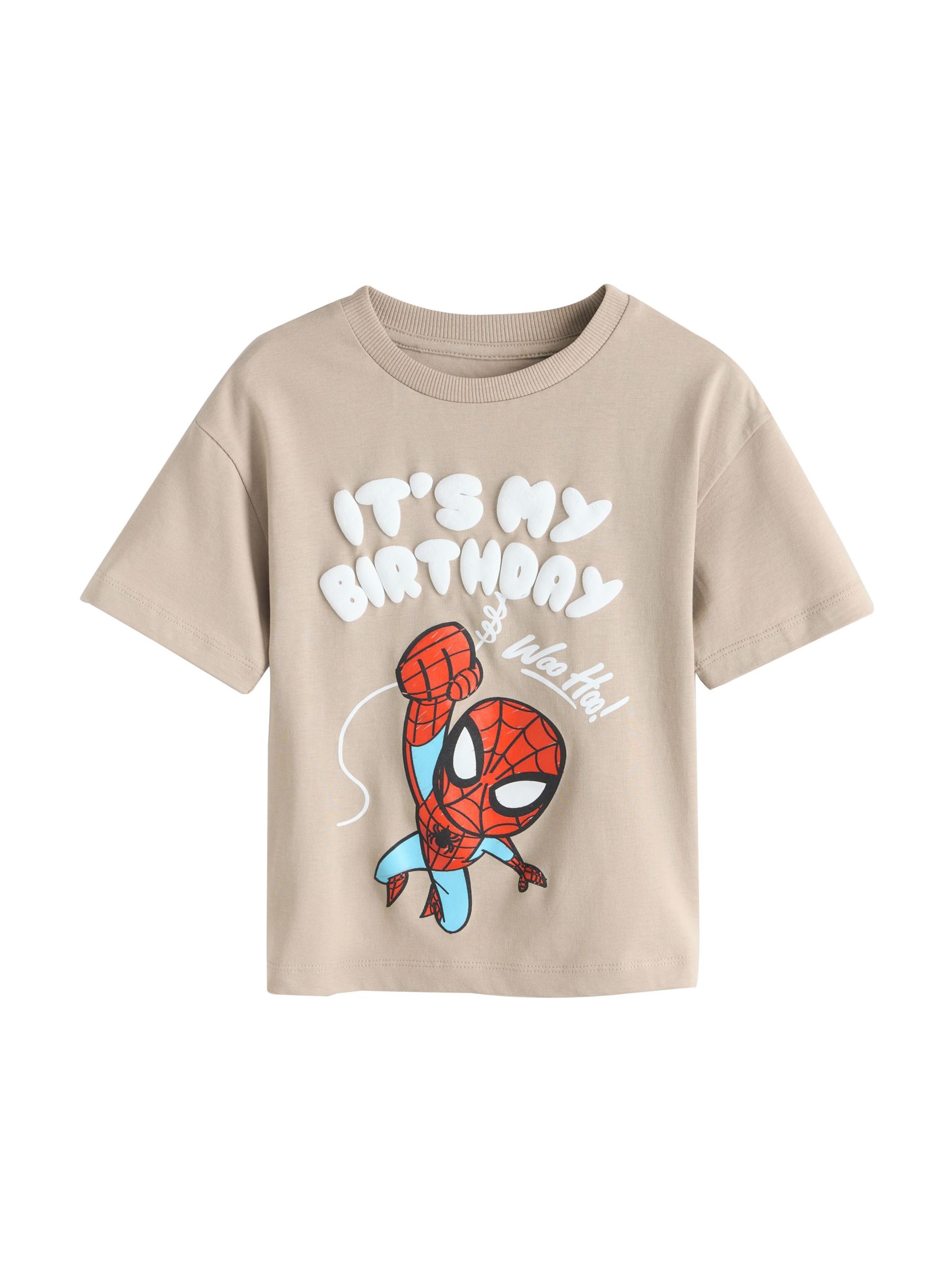 Maglietta 'Marvel' di Next in marrone: frontale