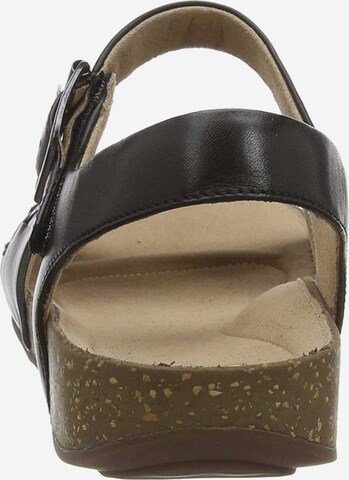 CLARKS Sandals in Black