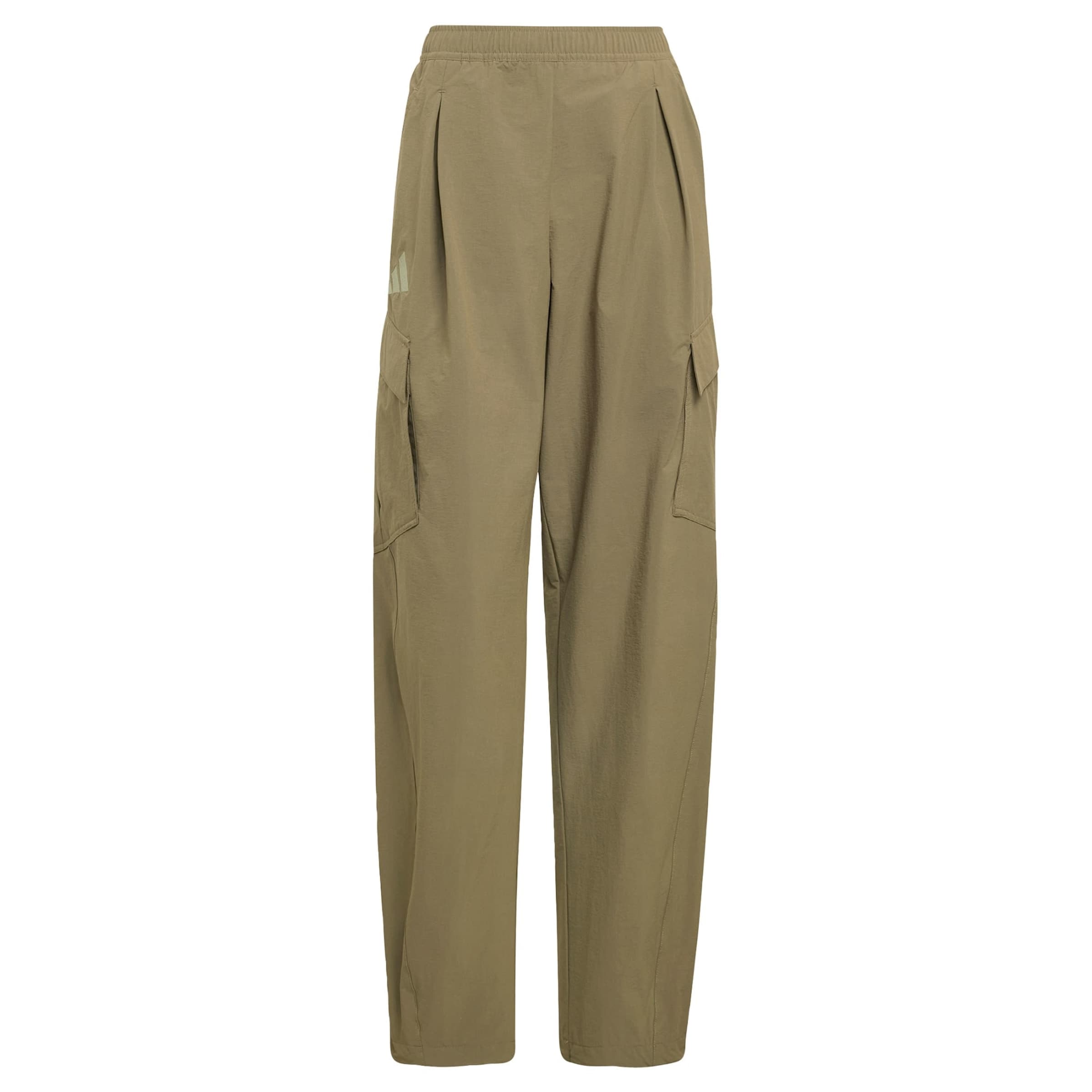 ADIDAS TERREX Normální Outdoorové kalhoty 'Xploric' – zelená: přední strana