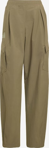 ADIDAS TERREX Normální Outdoorové kalhoty 'Xploric' – zelená: přední strana