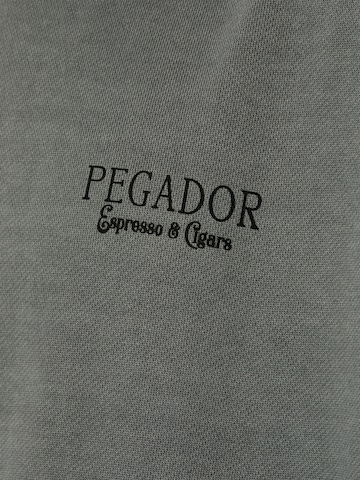 Sweat-shirt ' Dragor ' Pegador en gris